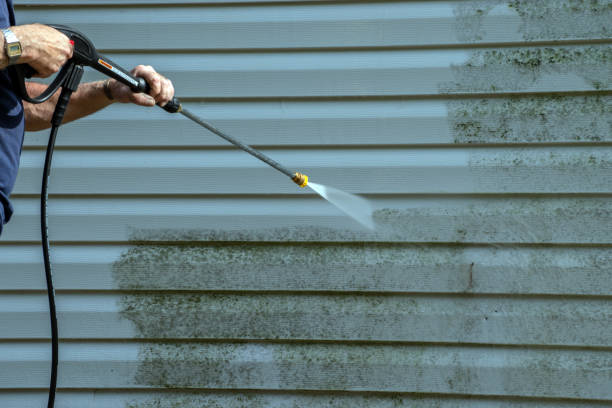 Best Concrete Surface Cleaning in Carlinvle, IL